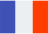 icons8 french flag 48